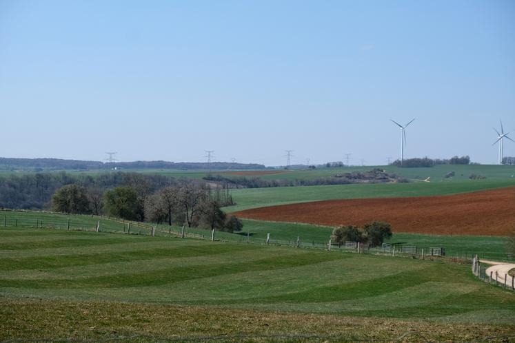 La vue depuis la cour de la ferme, entre forêts et vallons, inspire le calme et la sérénité. 