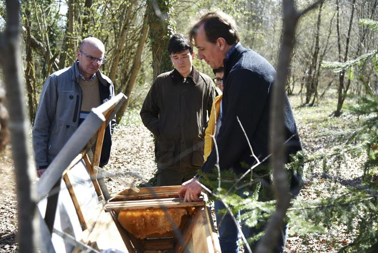 Les participants ont pu découvrir des ruches insolites comme ici la ruche kenyane. 