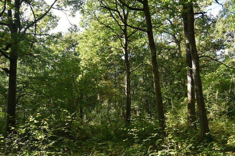 Si le film documentaire donne la parole aux forestiers, il est facilement transposable au monde agricole. 
