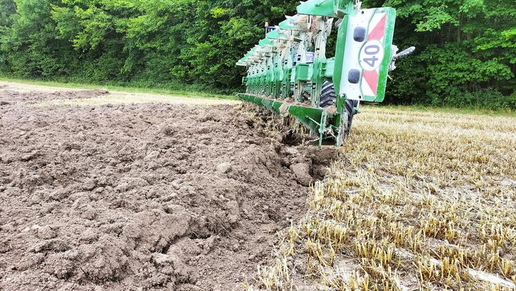 « Labourer est un vrai savoir-faire. Il faut pratiquer pour arriver à régler correctement l’outil. Le labour doit être régulier sans laisser percevoir de nuances dans les reliefs de surface », indique Frédéric Berhaut. 