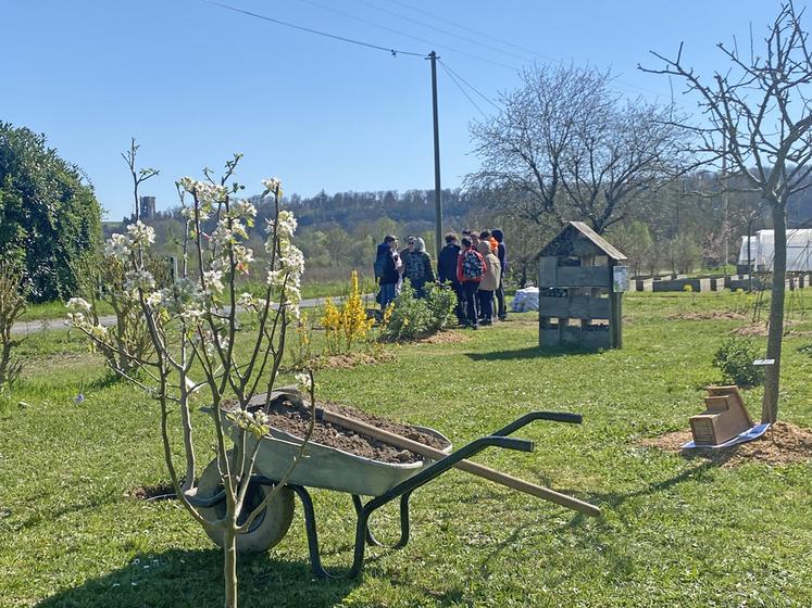 Mardi 1er avril, à Montoire-sur-le-Loir. Des collégiens de divers établissements de Loir-et-Cher ont participé à plusieurs ateliers et des arbustes symboliques ont été plantés.