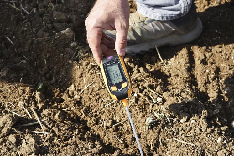 La sonde indique 13 °C, les conditions permettent de commencer les semis sereinement.