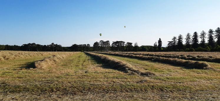 Selon la météo et le matériel de pressage, l’andain sera réalisé plus ou moins haut et plus ou moins large pour favoriser le séchage de l’herbe fraîchement coupée.