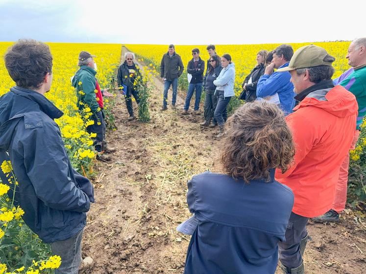 Mardi 22 avril, à Viabon. Sujets d'actualité, collection variétale, fosse pédologique, la visite d'essais colza proposée par la Chambre et Terres Inovia a été très complète.