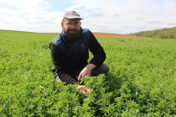 Même si la surface a été ramenée à 9 hectares et que la semence coûte cher, Corentin Pelletier est satisfait de l’introduction de la luzerne dans la ration de son troupeau et dans la rotation.