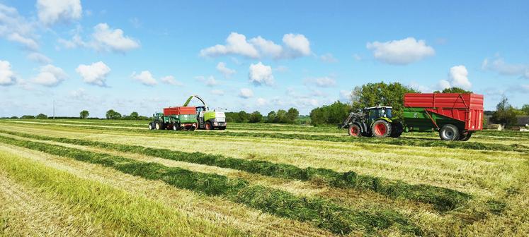 Il faut maximiser la surface sur laquelle on expose le fourrage à l’air, pour rentrer un aliment à plus de 30 % de matière sèche.