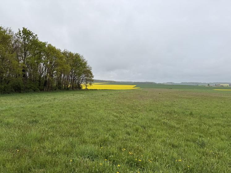 En 2025, la MAEC Maintien agriculture biologique (MAB) est supprimée. L’aide à la conversion (CAB) est maintenue et est à engager pour une durée de cinq ans.