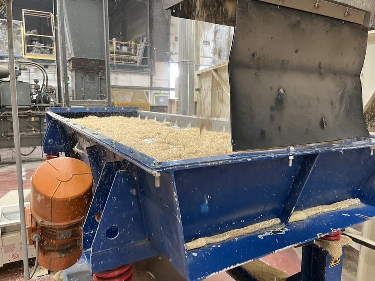 Dans l'usine, les différentes parties du chanvre sont séparées pour proposer divers produits.