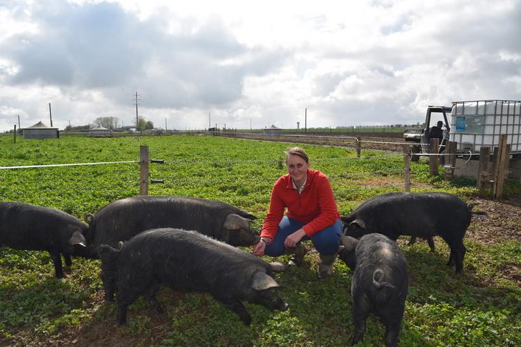 Grandpuits-Bailly-Carrois, jeudi 24 avril. Claire Dumez-Tournay dans l'un des parcs de plein air au milieu de ses porcs gascons.
