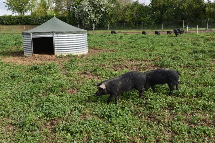 Des cabanes mobiles sont installées dans chacun des parcs.