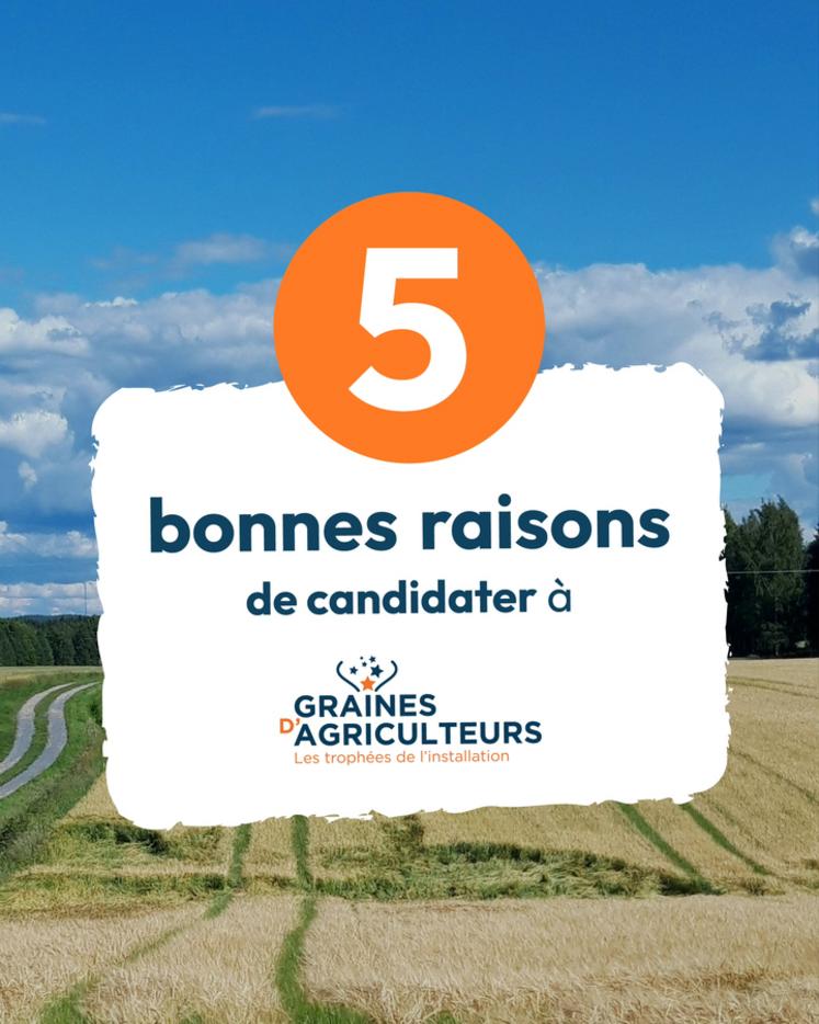 Cinq thématiques sont proposées aux candidats pour l'édition 2025.