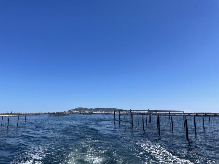 Au milieu de l'étang de Thau. Vue sur Sète au loin.