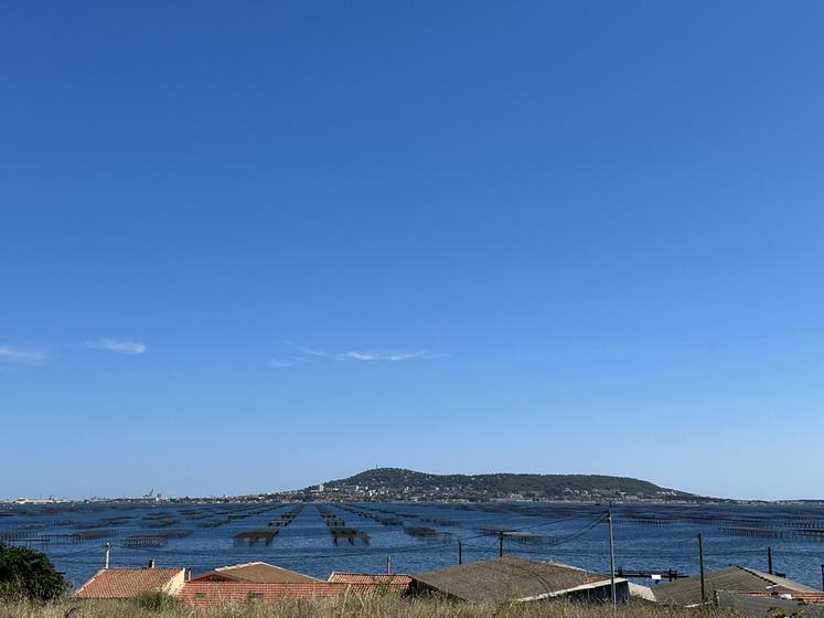 Vue sur les tables conchylicoles de l'étang de Thau.