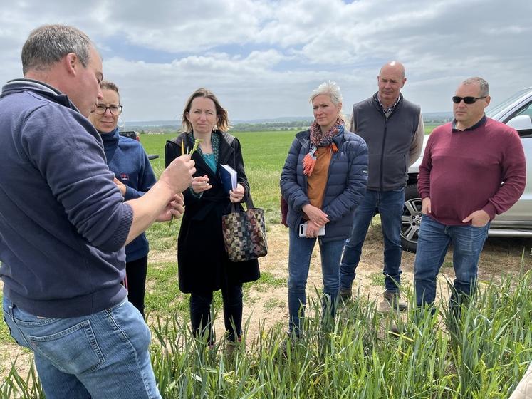 Jeudi 15 mai, à Neauphle-le-Vieux (Yvelines). Les représentants de la Driaaf et de la DDT ont constaté les dégâts de la grêle dans les champs.