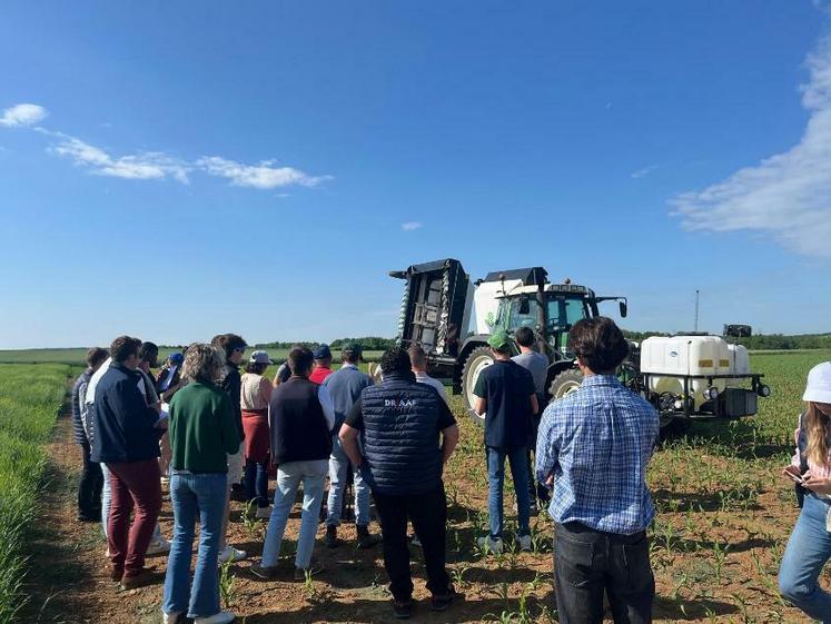 Mardi 20 mai, à Boigneville (Essonne). Une première matinée du rallye désherbage organisé par la chambre d’Agriculture a permis de sensibiliser aux méthodes alternatives visant à réduire les phytos.