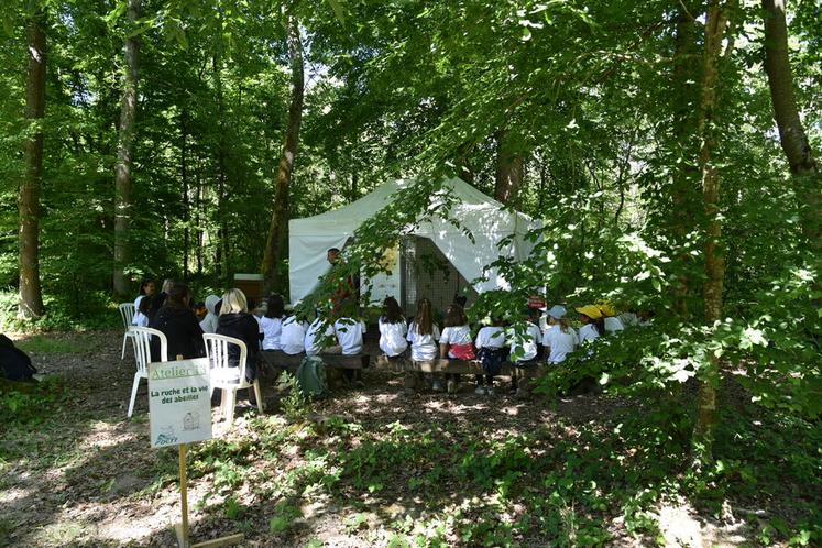 Bréau, vendredi 16 mai. Les classes participent à différents ateliers répartis sur le site du siège de la FDC 77 comme ici l'apiculture.
