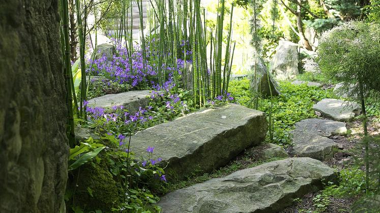 Jardin zen à Courdimanche (Val-d'Oise).