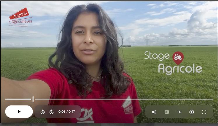 Plusieurs adhérents JA vont promouvoir la plateforme Stage-agricole par des vidéos sur les réseaux sociaux. 