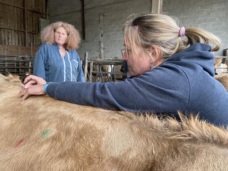 La vétérinaire Nayla Cherino (à g.) a donné aux éleveurs les clés pour savoir quels points d'acupuncture actionner pour traiter certaines maladies.