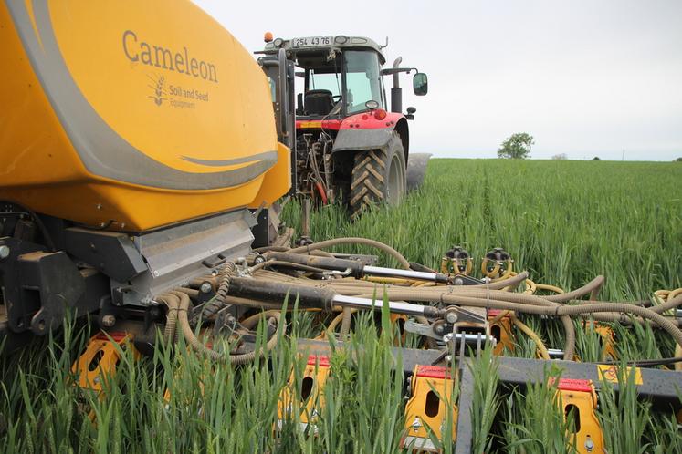 Le Caméléon pourrait apporter des réponses intéressantes en termes de désherbage mécanique.