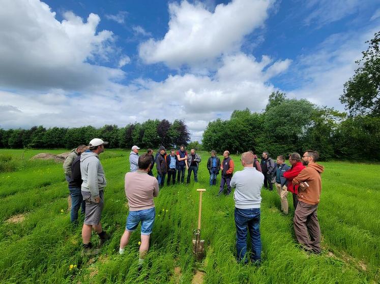 Olivier Tassel, agriculteur à Bertheauville (Seine-Maritime), est président du GIEE Sol en Caux qui compare depuis plusieurs années les semoirs à disques et à dents.