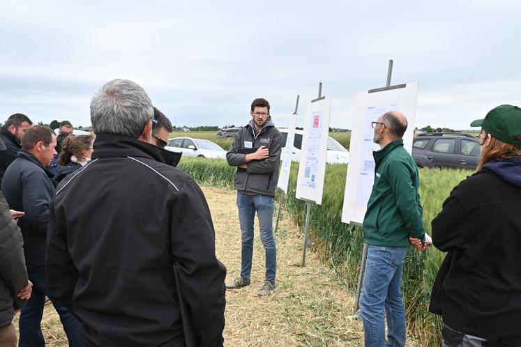 Mardi 27 mai, à Binas. Les ingénieurs de l'institut technique Arvalis ont présenté les résultats de leurs essais aux agriculteurs présents.