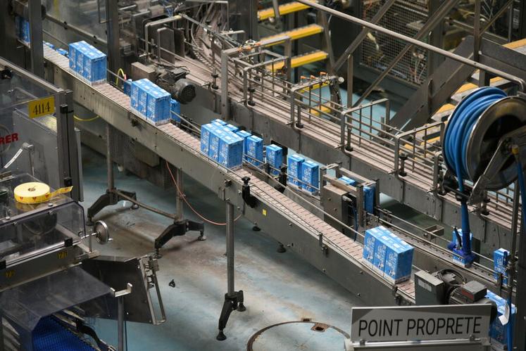 Le visiteur suit le trajet du lait grâce à un parcours en hauteur, pensé pour comprendre chaque phase du process industriel.