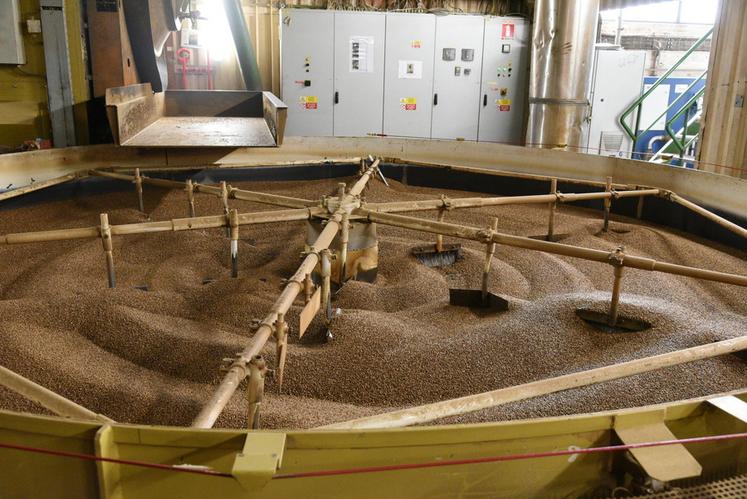 Jeudi 22 mai, à Pithiviers. La visite de la malterie a été un moment fort de la journée, illustrant les étapes clés de la transformation des céréales en malt.
