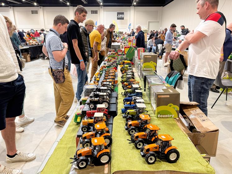 Beaucoup viennent pour ça, trouver le modèle réduit qui coche toutes les cases…