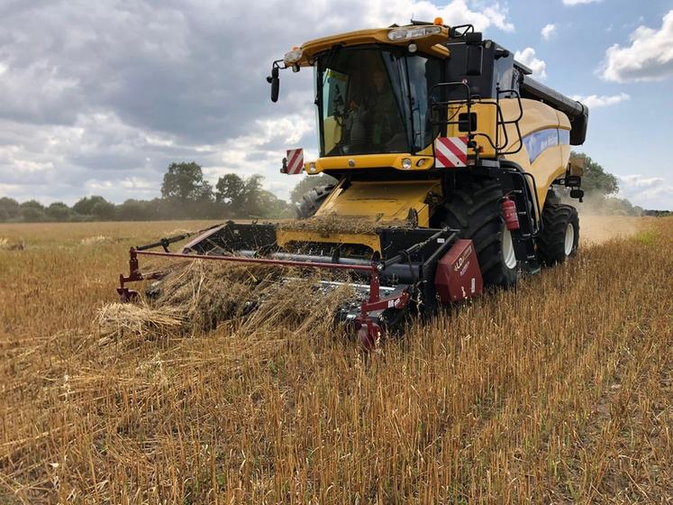 Les pick-up à tapis sont bien souvent dans le gabarit de la moissonneuse-batteuse, ce qui évite les opérations d’attelage et dételage.   