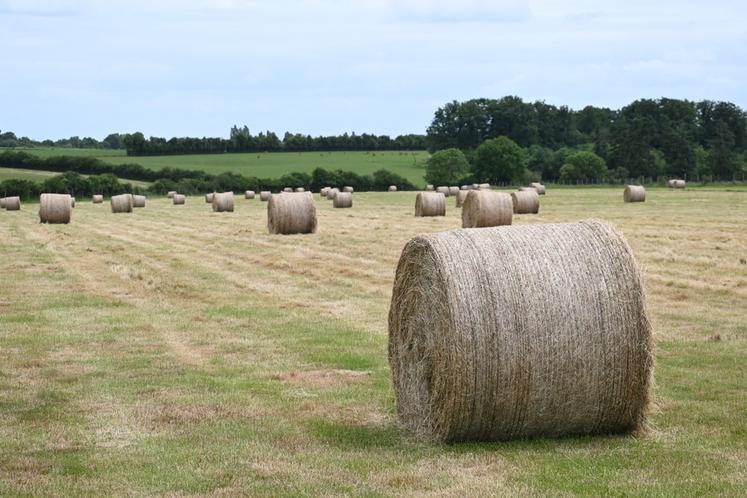 À Épuisay, la saison des foins est lancée à la Ferme de l'étang avec une coupe qui a démarré le 16 mai.