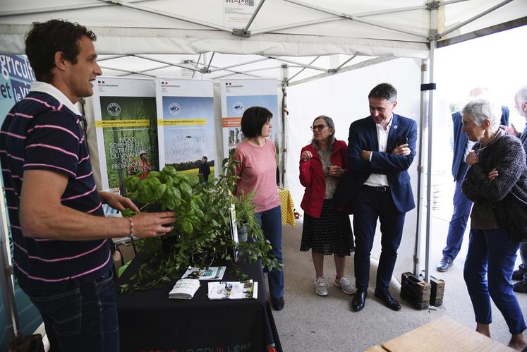 Le lycée horticole La Mouillère a su capter l’attention des visiteurs grâce à une présentation vivante de ses formations. Sur leur stand, des plantes aromatiques cultivées par leurs soins, dont un basilic particulièrement odorant qui embaumait toute la tente.