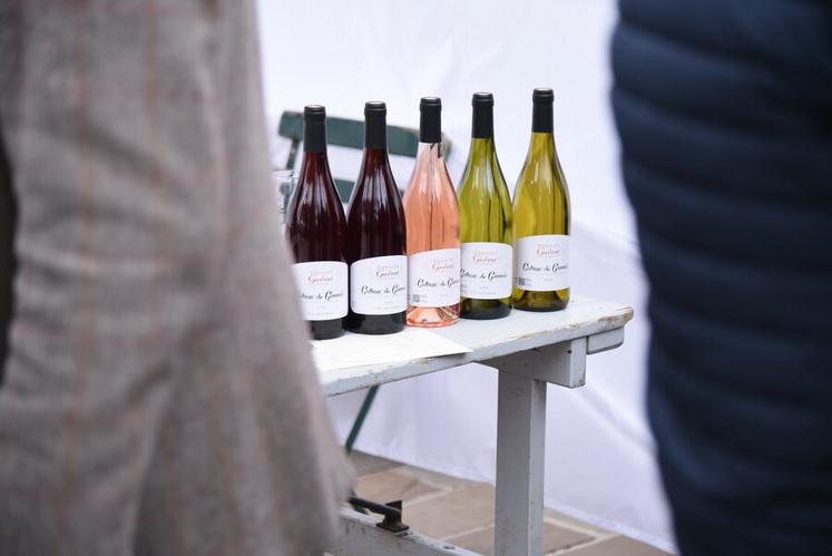 Samedi 7 juin, à Gien. Deux producteurs loirétains ont présenté leurs vins lors du festival des Coteaux du Giennois.