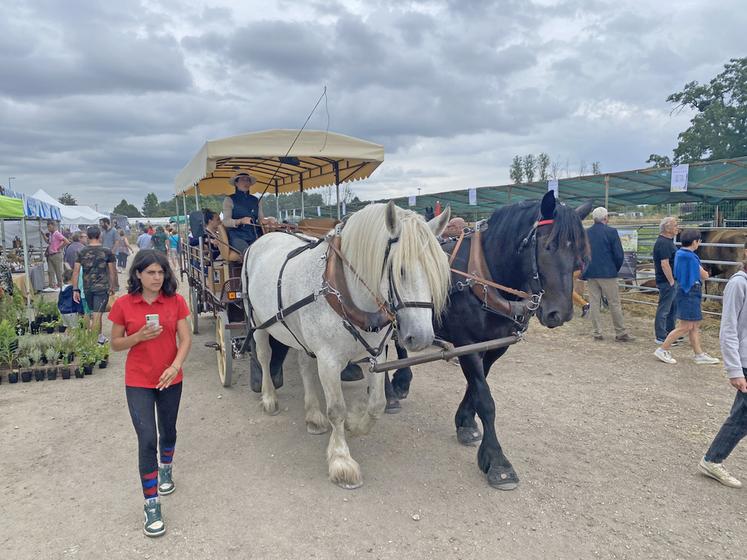Une hippomobile a arpenté les allées du comice durant les deux jours afin de permettre aux personnes à mobilité réduite de profiter du comice.