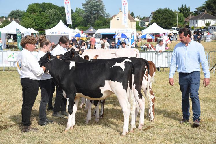 Ce sont moins les bêtes que les jeunes présentateurs qui sont jugés lors d’un concours qui leur était réservé.
