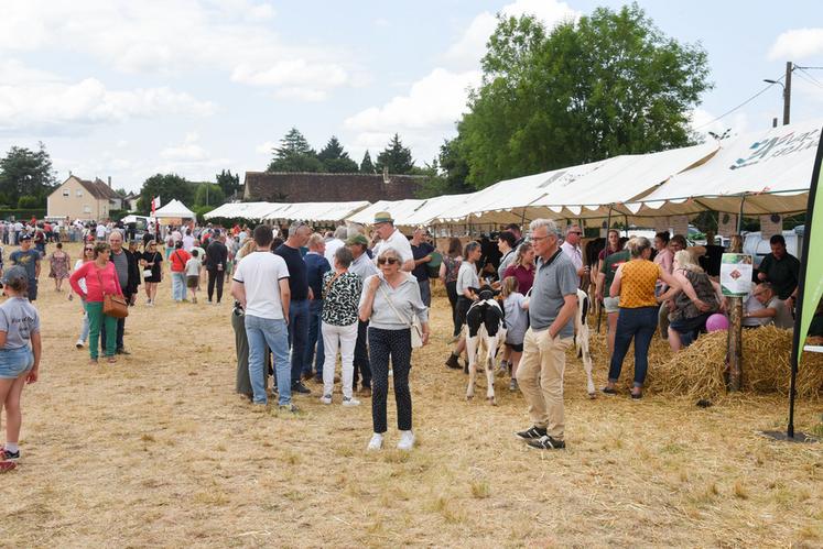 Dimanche 15 juin, à Nogent-le-Rotrou. Difficile de donner un chiffre mais le public a bien répondu présent le samedi et le dimanche.