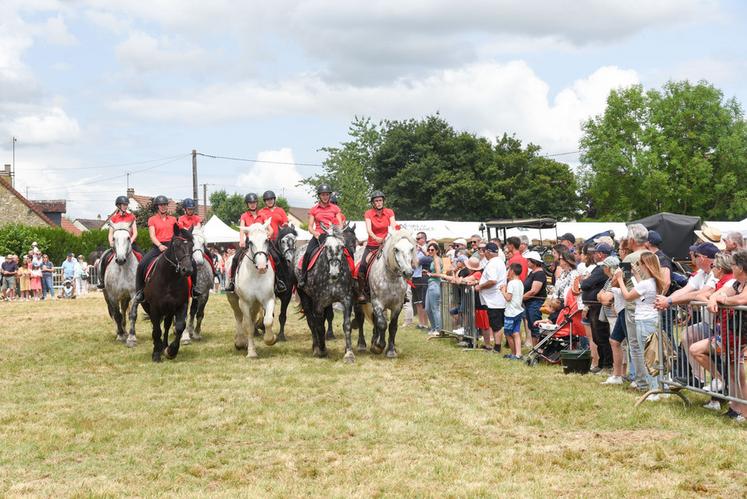 Les chevaux percherons ont été les vedettes de ce comice et le public n'a pas boudé son plaisir devant les carrousels.