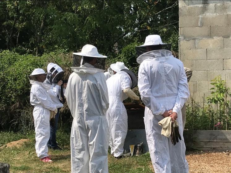 Les apprenants ont pu ouvrir les ruches et découvrir la vie de l’abeille domestique.