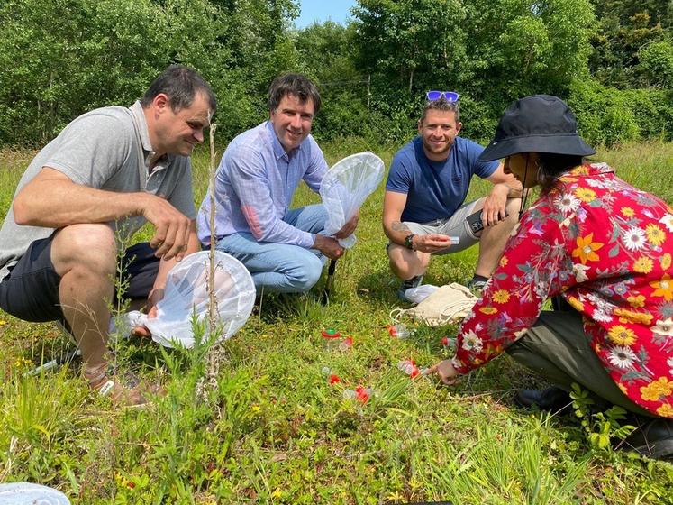 Un atelier capture d’insectes a permis aux agriculteurs de s’initier à la reconnaissance des principaux pollinisateurs.