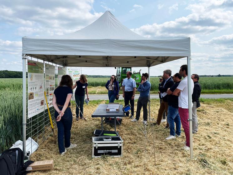 Mardi 3 juin, à Saint-Martin-de-Bréthencourt (Yvelines). La chambre d'Agriculture de région Île-de-France a organisé une plateforme technique.