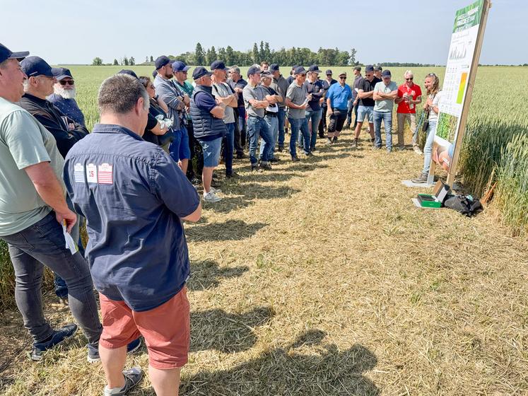 Mercredi 11 juin, à Blandainville. Une série d'ateliers, comme ici sur les programmes fongicides, ont été proposés à ses adhérents par Axéréal lors de ses Rencontres agronomiques.