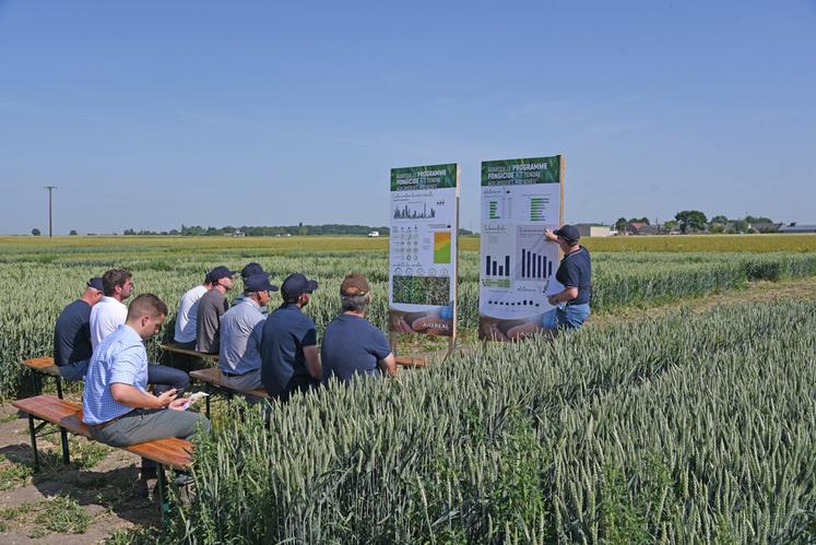 Vendredi 13 juin, à Lumeau (Eure-et-Loir). Échanges techniques au cœur des parcelles lors de la rencontre Axéréal.
