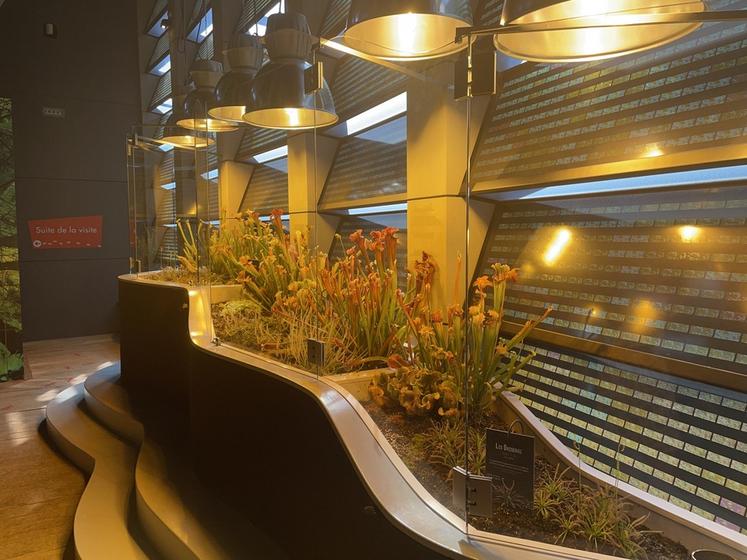 Micropolis - la cité des insectes, en Aveyron. Ici, à l'intérieur, on peut observer les plantes carnivores, intrinsèquement liées aux insectes.