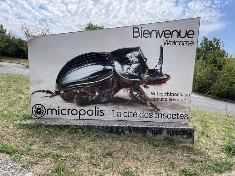 Bienvenue à la cité des insectes Micropolis.