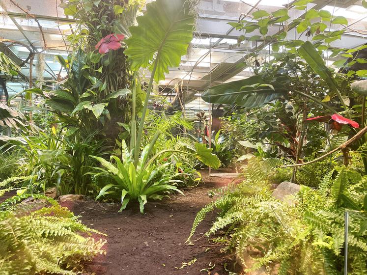 Micropolis - la cité des insectes, en Aveyron. Ici, le carré des papillons.