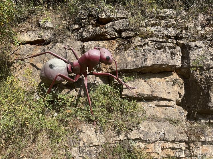 Micropolis - la cité des insectes, en Aveyron. Ici, à l'extérieur.
