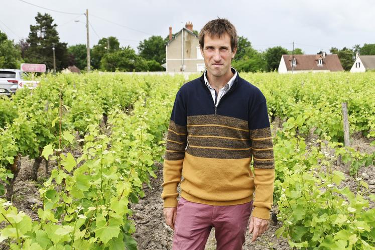 Vincent Tévenot est le seul gérant du Vignoble Tévenot depuis la retraite de son père en 2018. Il est à la tête de 24 hectares de vignes à Candé-sur-Beuvron.