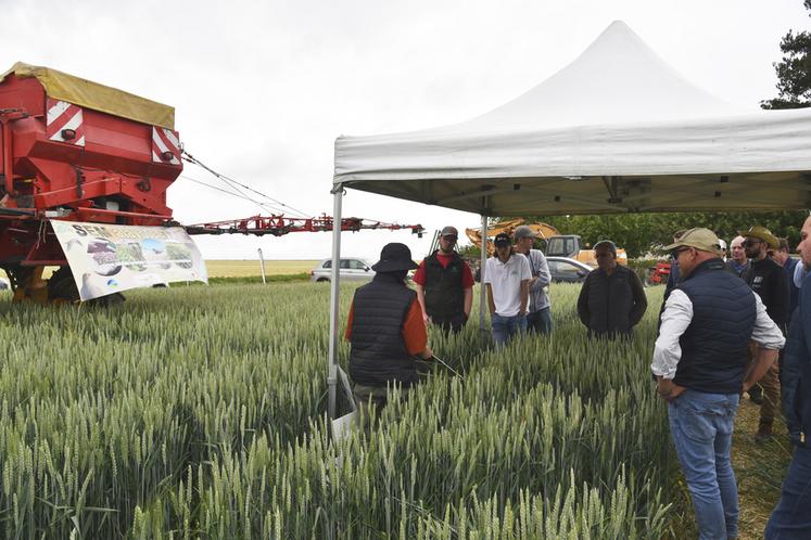 Augers-en-Brie, le 4 juin. Les mélanges de Cipan* et l'opération Sem'àlavolée ont engendré de nombreuses questions.