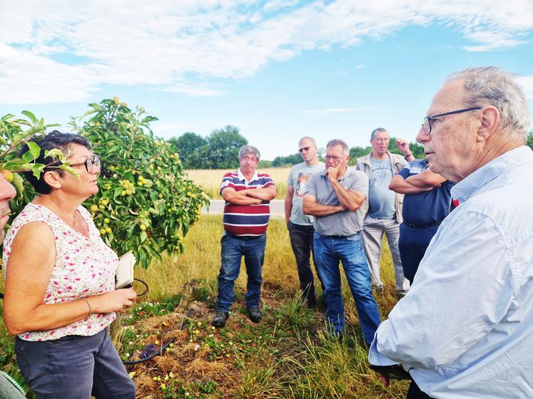 Vendredi 27 juin à Mont-Près-Chambord (Loir-et-Cher). La FNSEA 41 et JA 41 ont organisé une visite de terrain sur une parcelle de M. Croiset, en présence du maire, Gilles Clément, et de la DDT.
