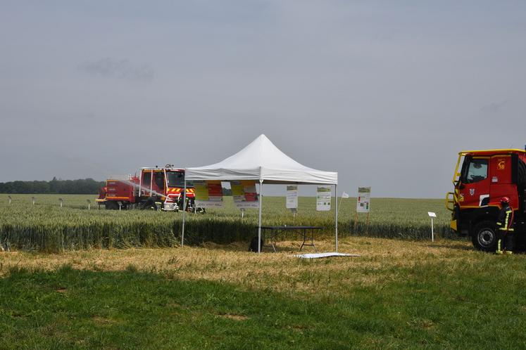 Vallangoujard (Val-d'Oise), mardi 10 juin. Le Sdis 95 a mené une démonstration de lutte contre les feux de chaumes.